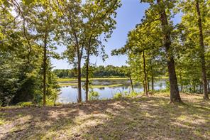 660 County Road 1503 - Photo 38