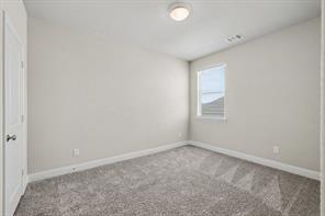 713 Rain Barrel Place - Photo 17