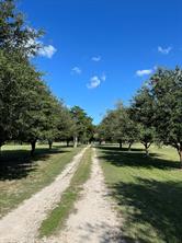 6303 Greenvine Road - Photo 23