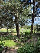6303 Greenvine Road - Photo 3