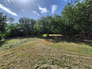 1120 Battle Lake Road - Photo 9