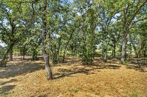 461 Peace Lily Way - Photo 29