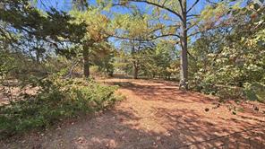 1027 Highway 377 N - Photo 22