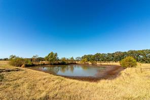 13733 County Road 109 - Photo 31