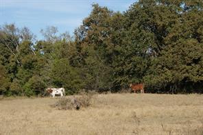 13733 County Road 109 - Photo 35