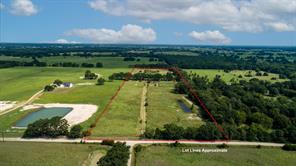 13733 County Road 109 - Photo 5