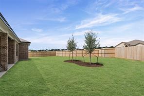 126 Lasso Loop - Photo 2