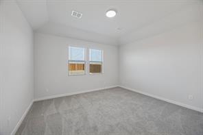 4206 Zoe Lane - Photo 19