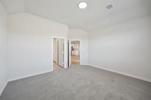 4206 Zoe Lane - Photo 20