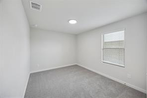 4206 Zoe Lane - Photo 29
