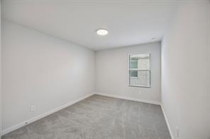 4206 Zoe Lane - Photo 30