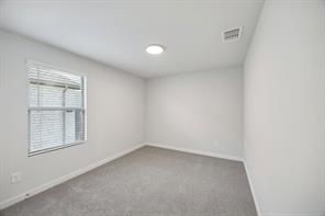 4206 Zoe Lane - Photo 31