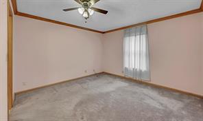 317 Williams Road - Photo 14