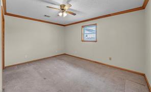 317 Williams Road - Photo 23
