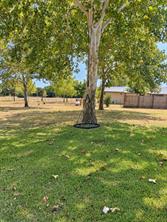1451 County Road 107 - Photo 5