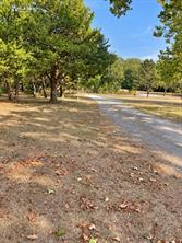 1451 County Road 107 - Photo 6