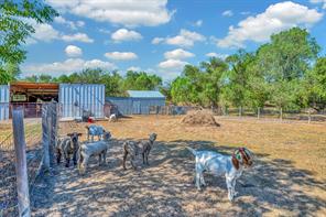 3287 Rosenthal Parkway - Photo 30