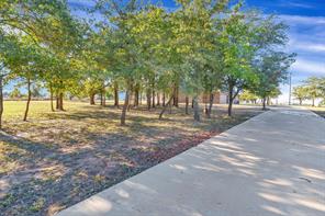 3031 Powell Cemetery Road - Photo 4