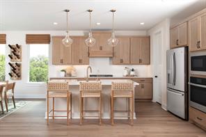 9912 Morning Cloak Drive - Photo 2