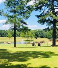 1644 County Road 4730 - Photo 19